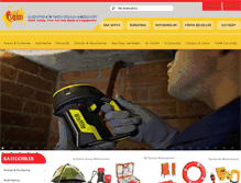 Tablet Screenshot of isgim.com